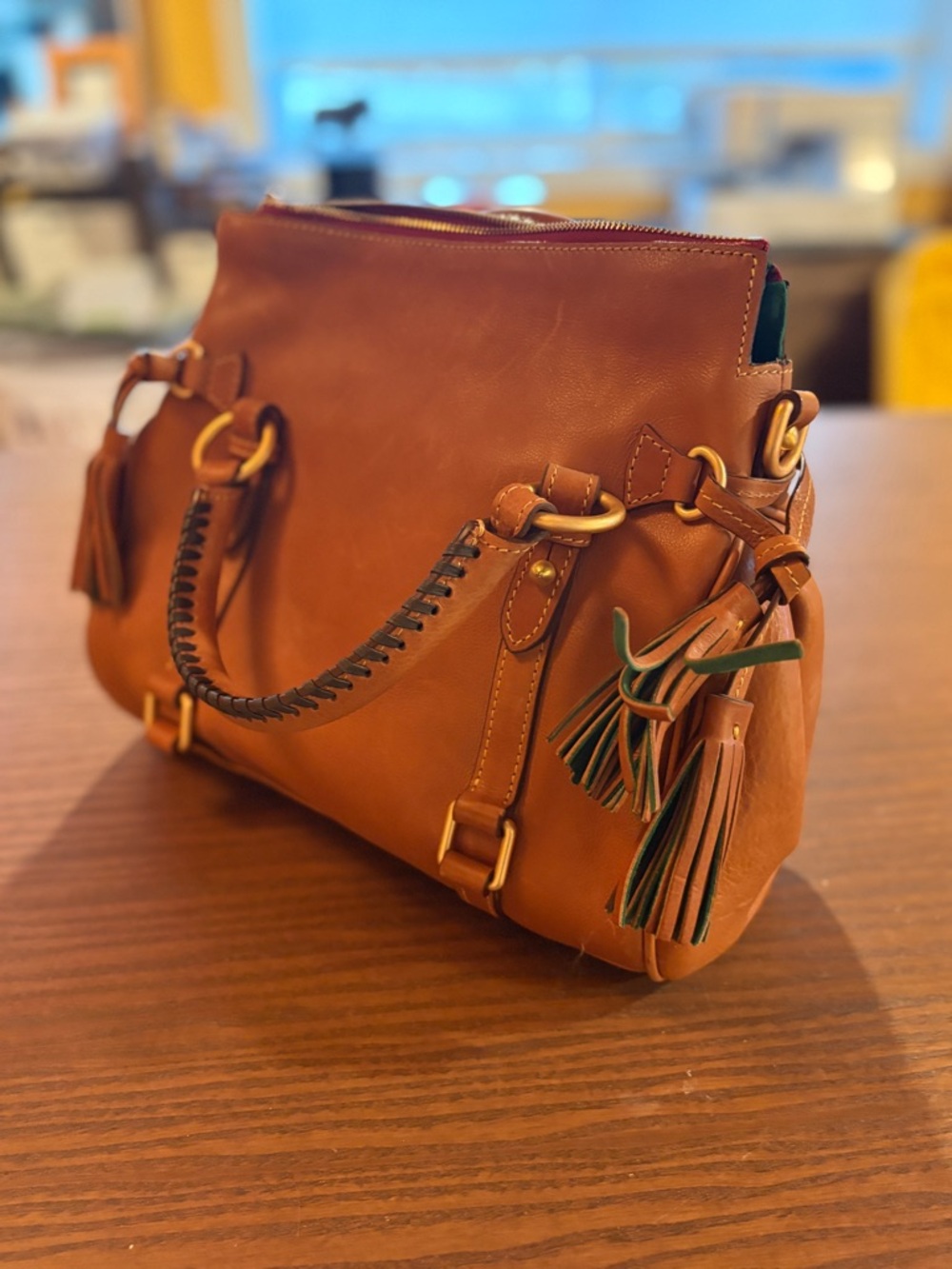 Dooney and Bourke Leather Tassel Satchel Handbag - Brown
